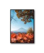 Japan Frame
